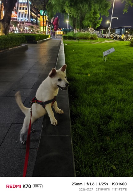Liuzai out on a walk