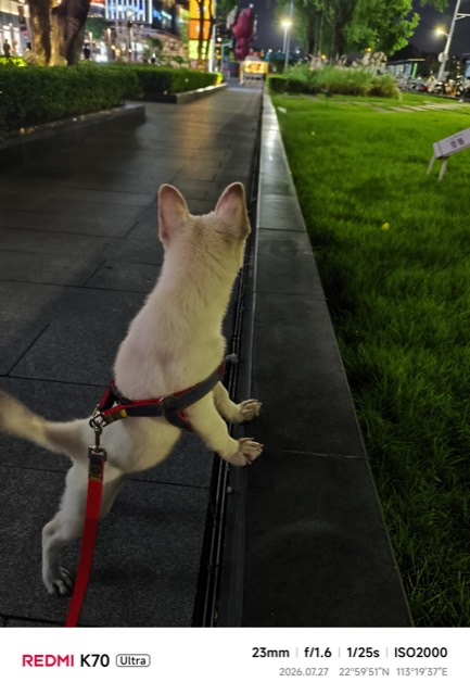 Liuzai out on a walk