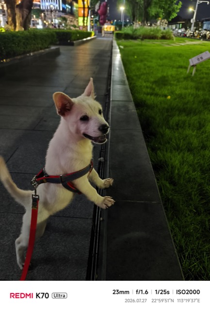 Liuzai out on a walk
