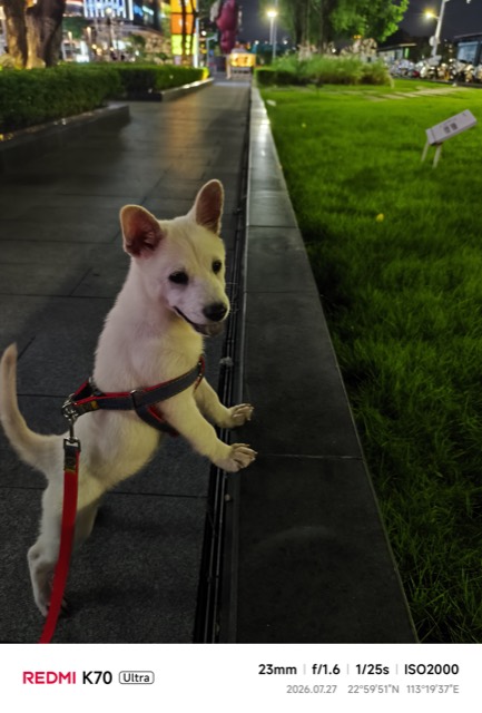 Liuzai out on a walk