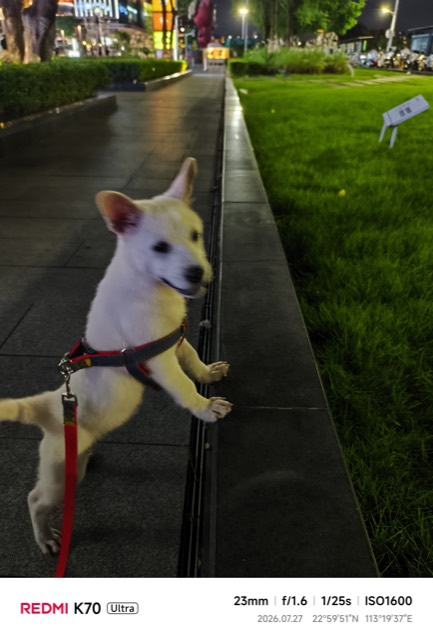 Liuzai out on a walk