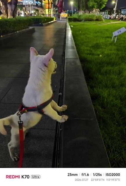 Liuzai out on a walk
