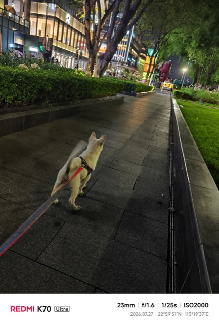 Liuzai out on a walk