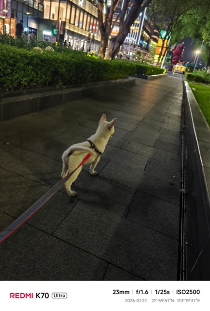 Liuzai out on a walk