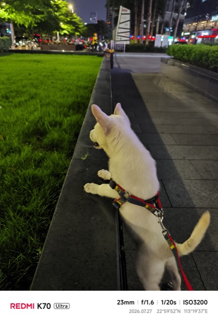 Liuzai out on a walk