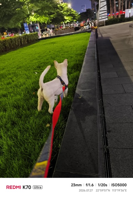Liuzai out on a walk