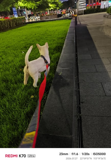Liuzai out on a walk