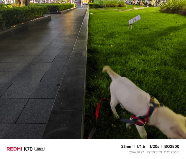 Liuzai out on a walk