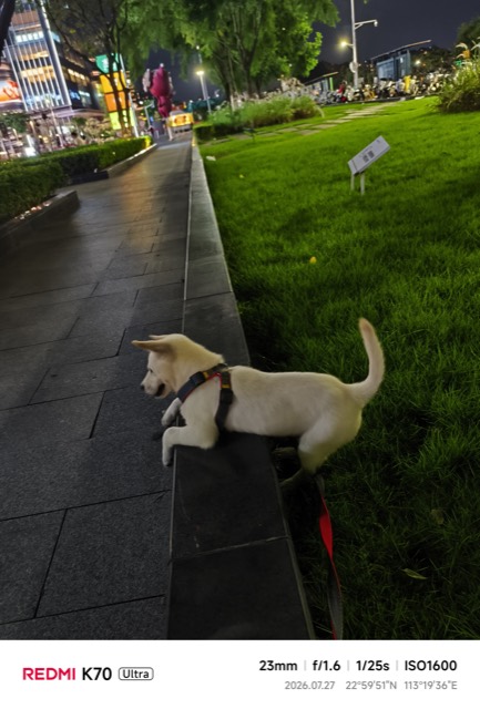 Liuzai out on a walk