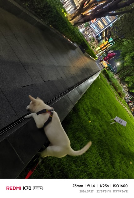 Liuzai out on a walk
