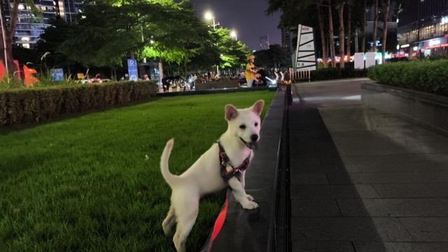 Liuzai out on a walk