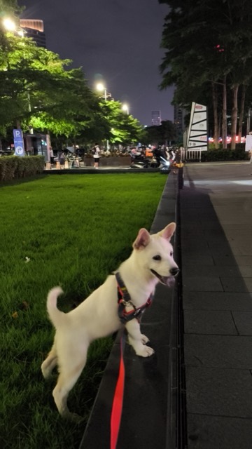 Liuzai out on a walk