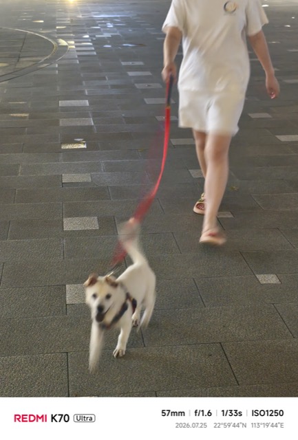 Liuzai out on a walk